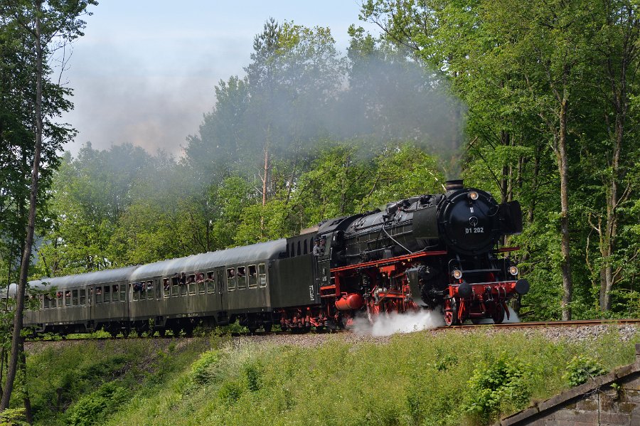 DB 01 202 in Neustadt Bild 03